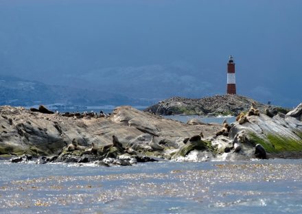Galería de imágenes en miniatura